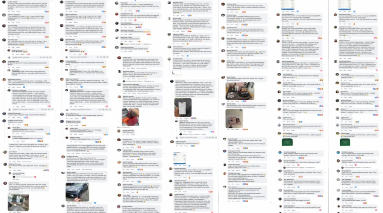 Real ComDrop output. Facebook ad comment threads.